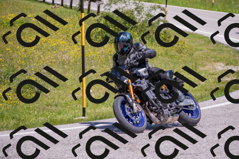 202506021138-DSC_8119_c4_