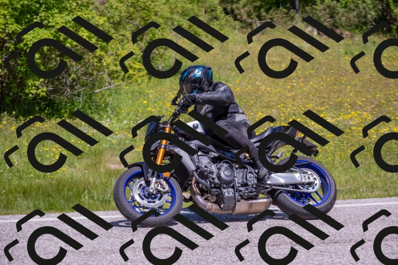 202506021138-DSC_8120_c4_