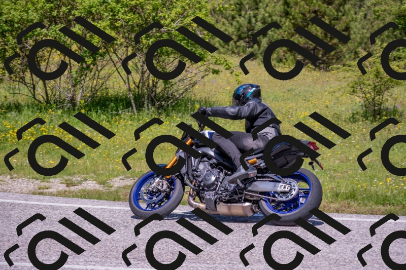 202506021138-DSC_8121_c4_