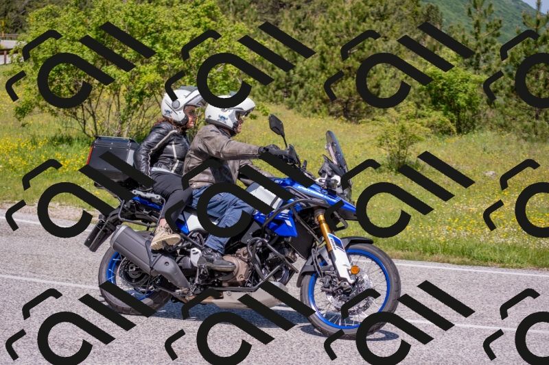 202506021139-DSC_8123_c4_