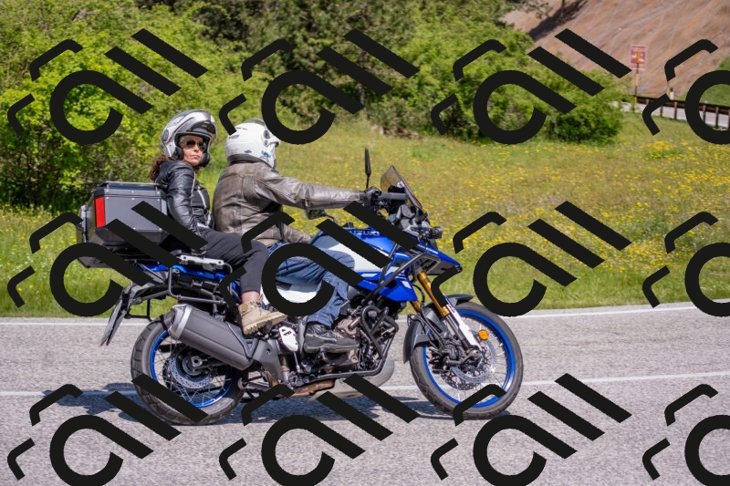 202506021139-DSC_8124_c4_