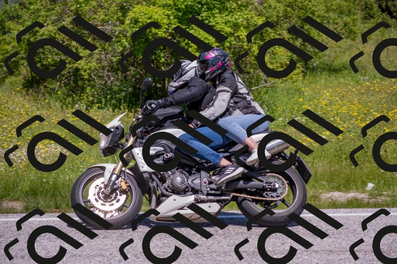 202506021139-DSC_8127_c4_