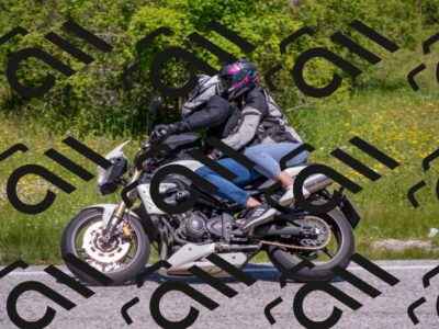 202506021139-DSC_8127_c4_