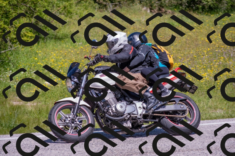 202506021140-DSC_8130_c4_