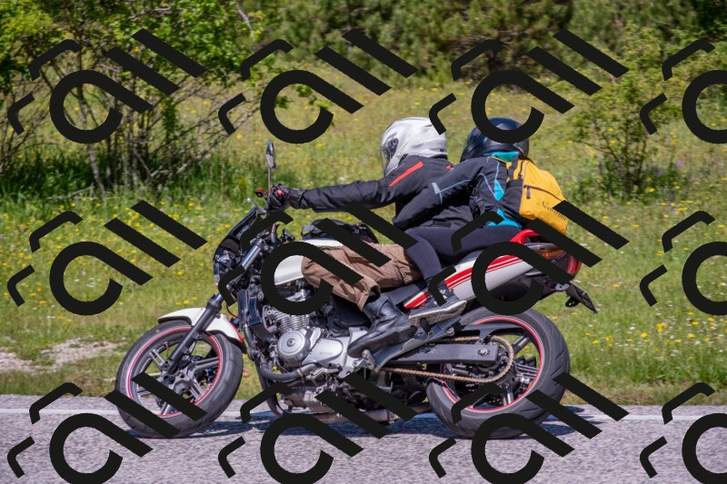 202506021140-DSC_8131_c4_