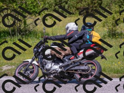 202506021140-DSC_8131_c4_