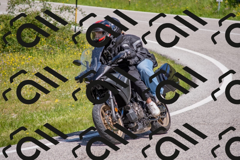 202506021140-DSC_8132_c4_