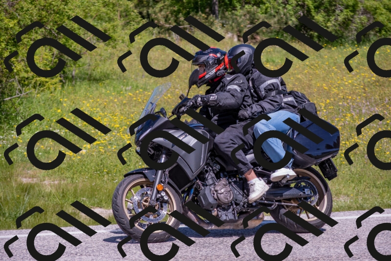 202506021140-DSC_8133_c4_