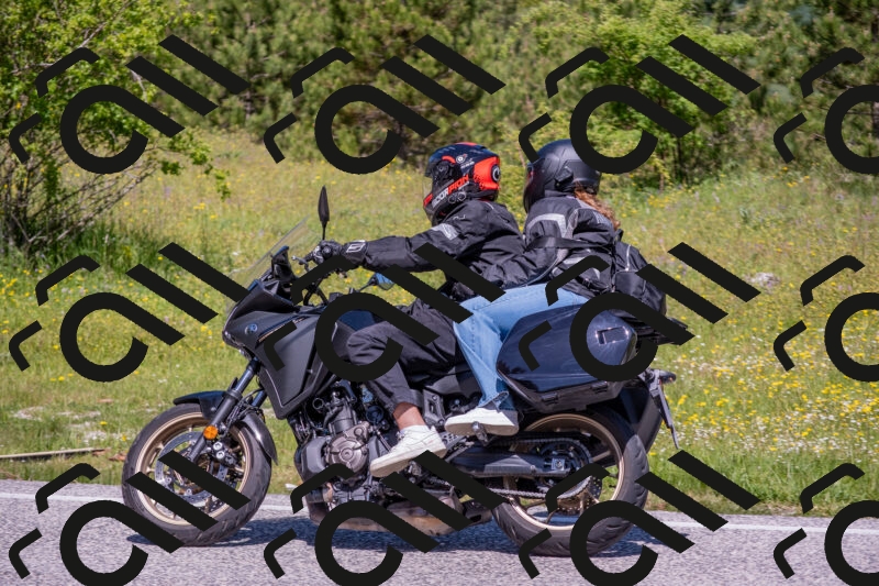 202506021140-DSC_8134_c4_