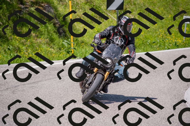 202506021140-DSC_8135_c4_