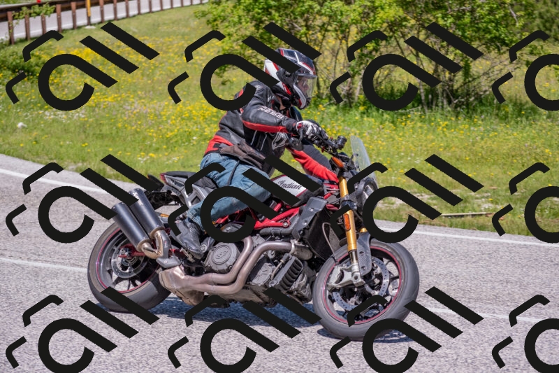 202506021140-DSC_8137_c4_