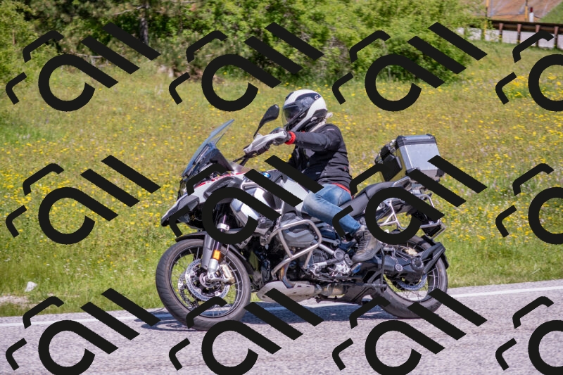 202506021141-DSC_8140_c4_