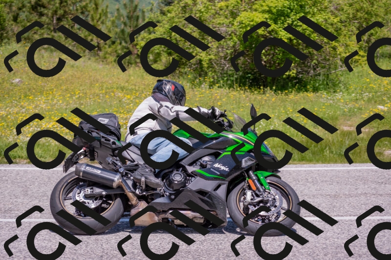 202506021141-DSC_8144_c4_