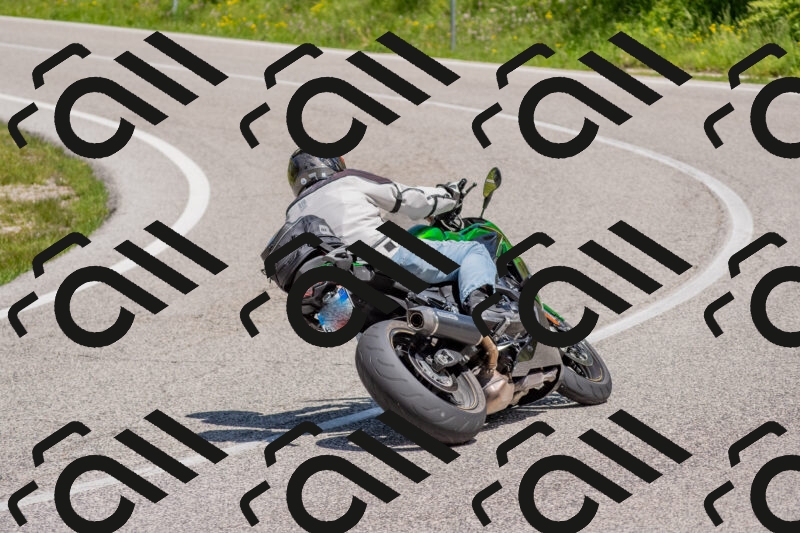 202506021141-DSC_8145_c4_