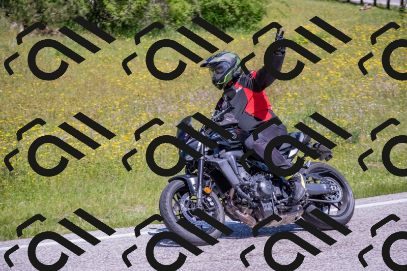 202506021142-DSC_8148_c4_