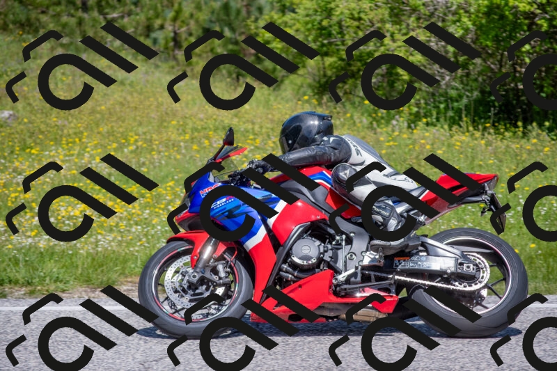 202506021142-DSC_8153_c4_