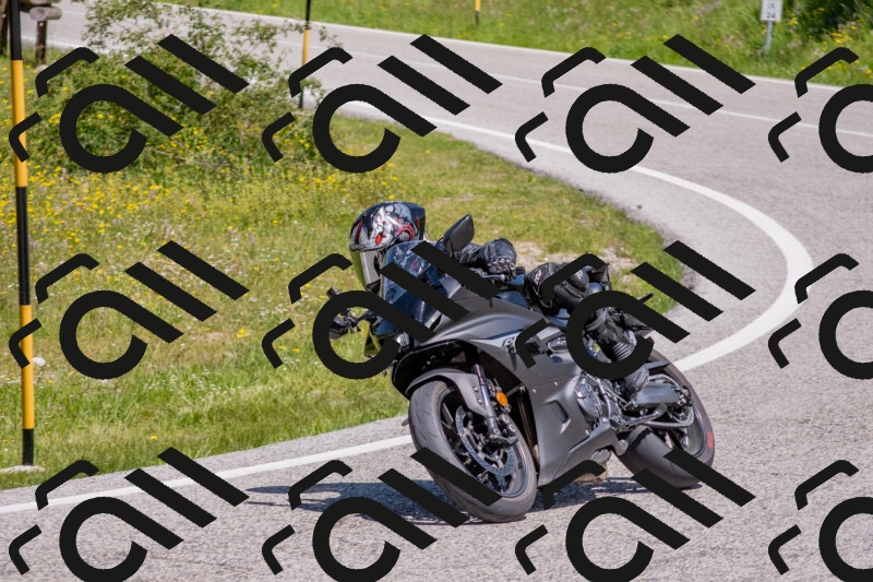 202506021142-DSC_8156_c4_