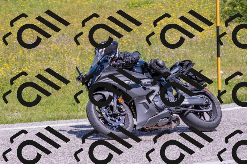 202506021142-DSC_8157_c4_