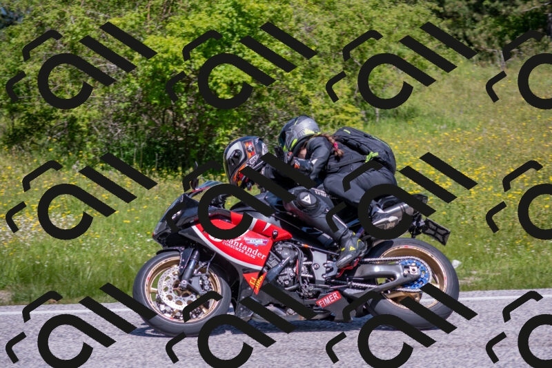 202506021142-DSC_8159_c4_