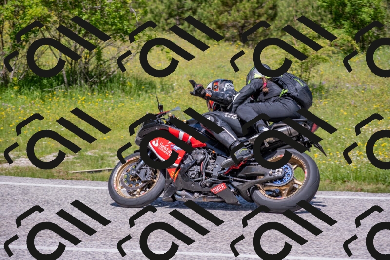 202506021142-DSC_8160_c4_