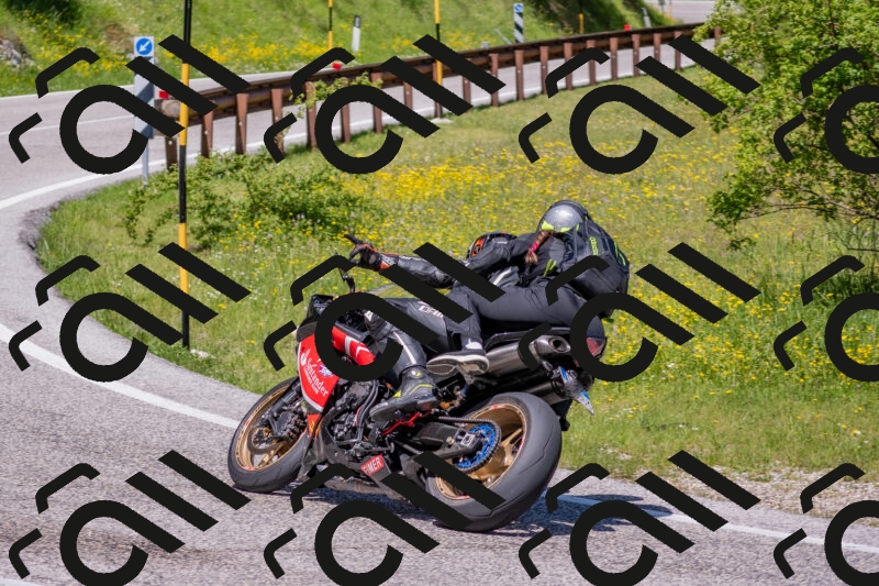 202506021142-DSC_8161_c4_