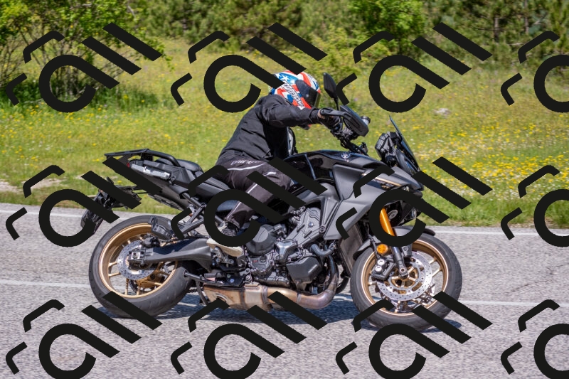 202506021143-DSC_8164_c4_