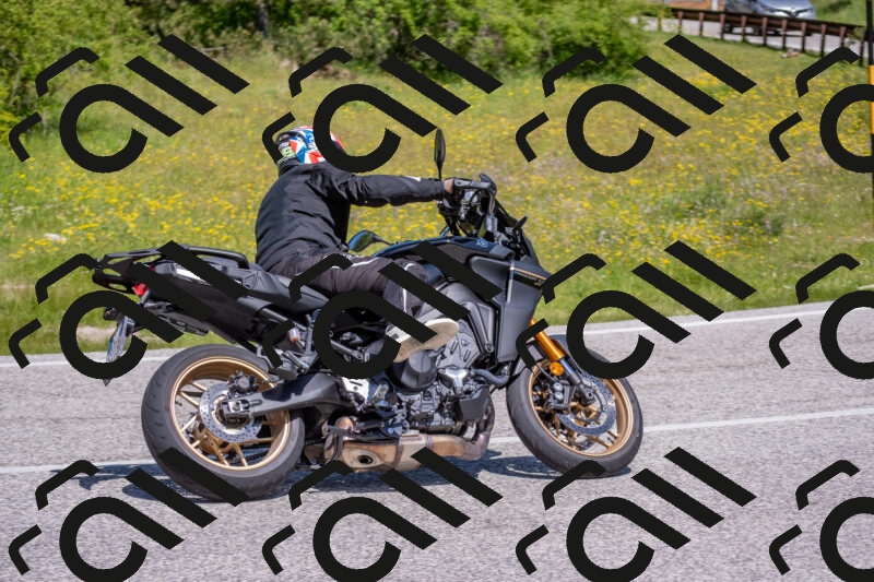 202506021143-DSC_8165_c4_