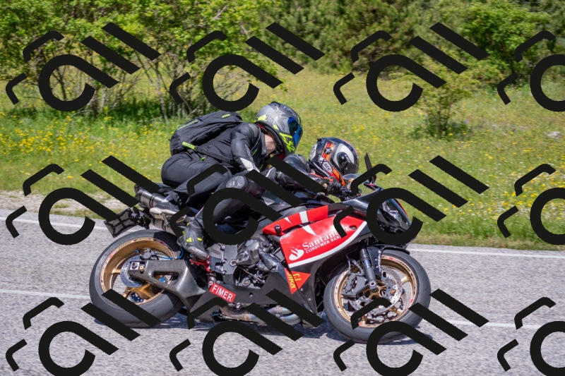 202506021144-DSC_8168_c4_