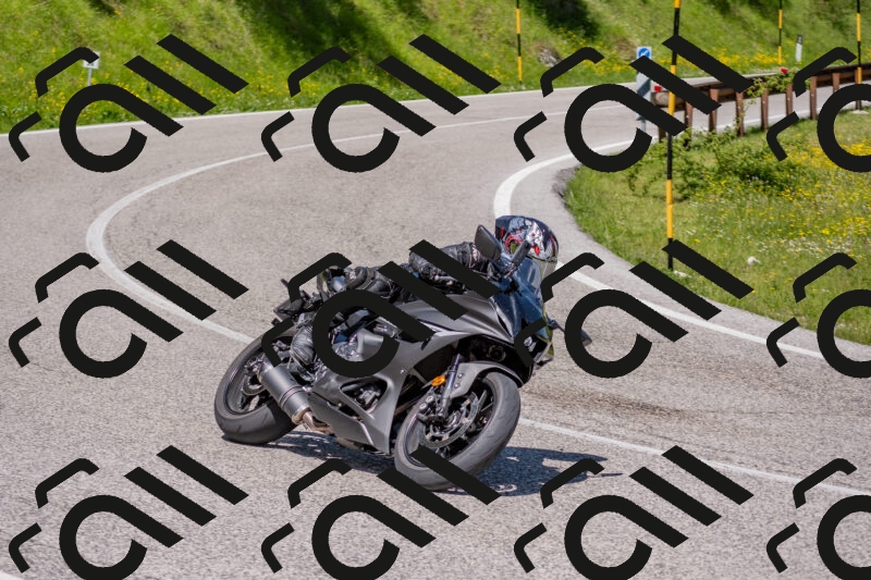 202506021144-DSC_8169_c4_