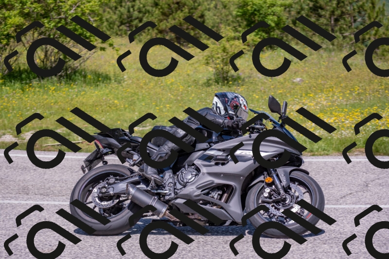 202506021144-DSC_8170_c4_