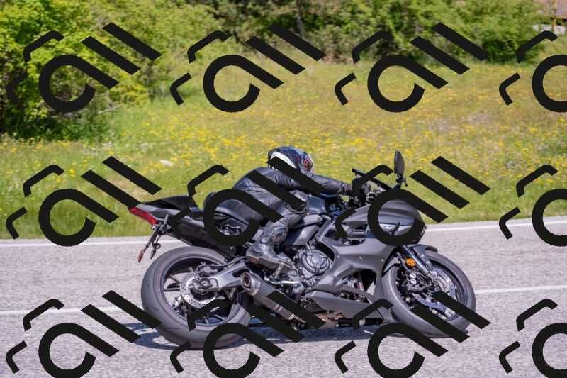 202506021144-DSC_8171_c4_