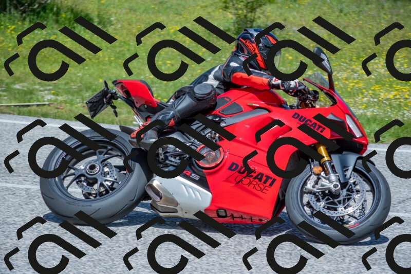 202506021144-DSC_8174_c4_