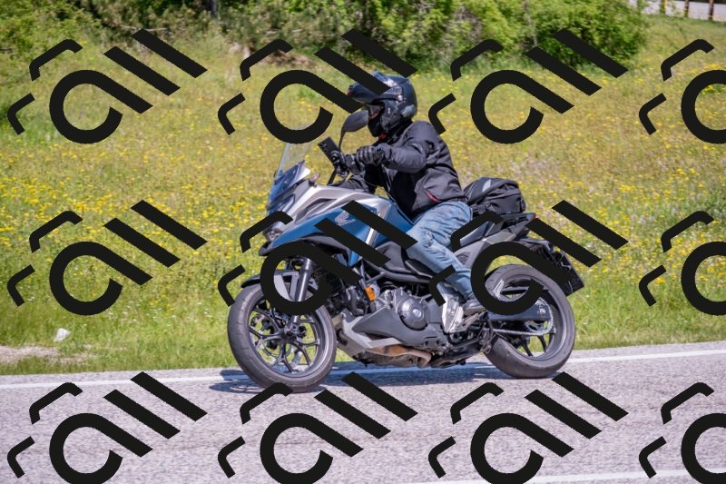 202506021145-DSC_8177_c4_