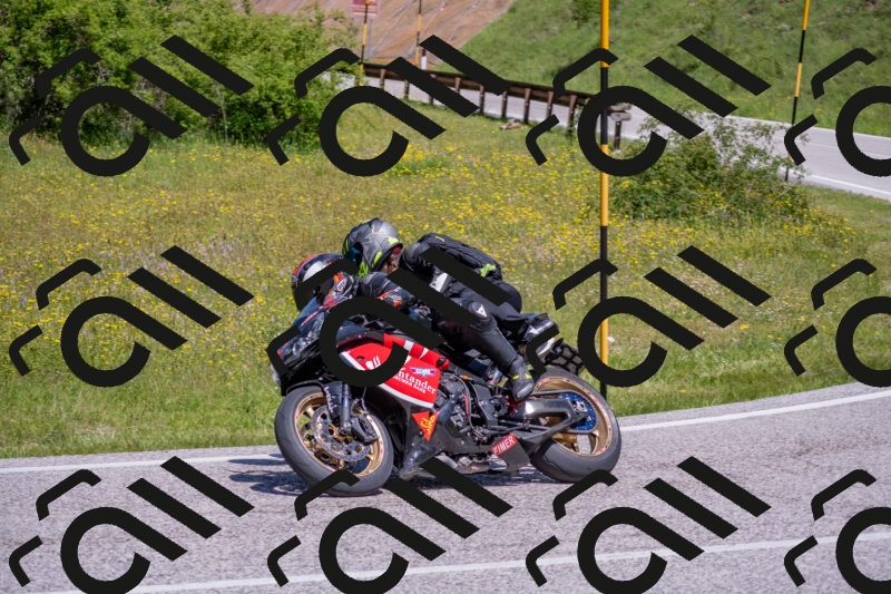 202506021145-DSC_8181_c4_