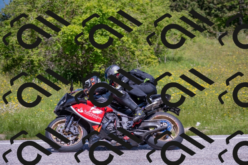 202506021145-DSC_8182_c4_