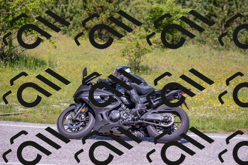 202506021145-DSC_8186_c4_