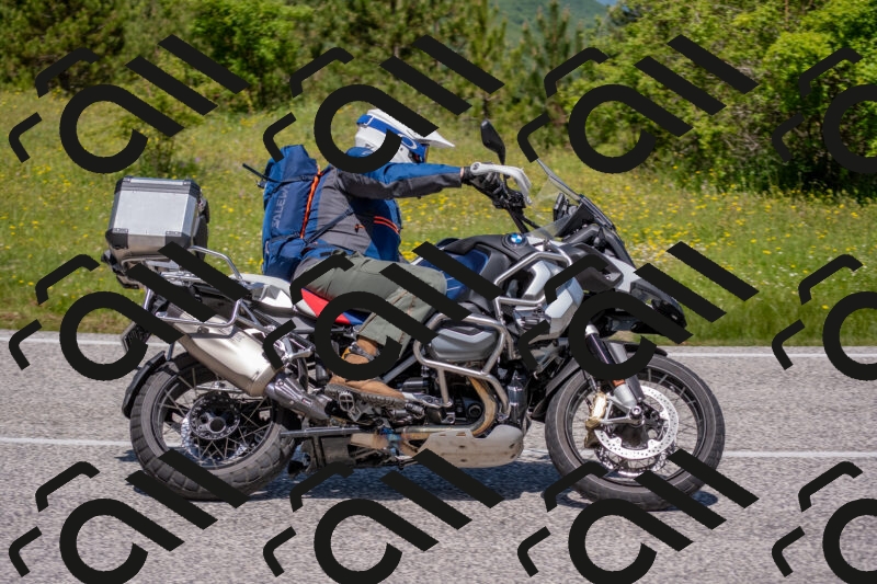 202506021146-DSC_8189_c4_