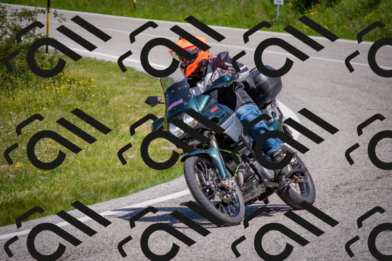 202506021146-DSC_8191_c4_