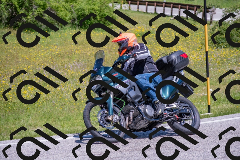 202506021146-DSC_8192_c4_