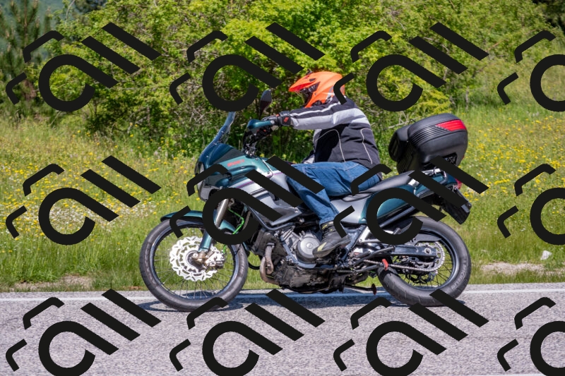 202506021146-DSC_8193_c4_