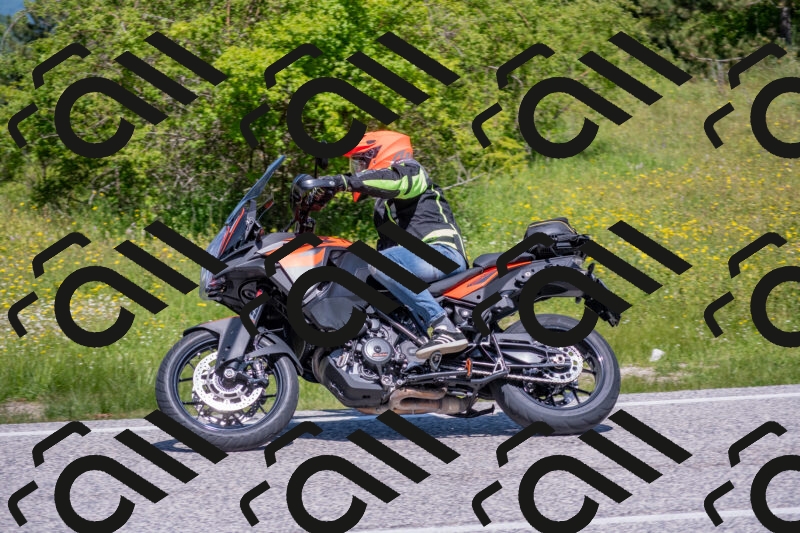 202506021146-DSC_8195_c4_