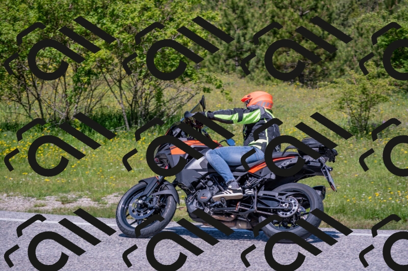 202506021146-DSC_8196_c4_