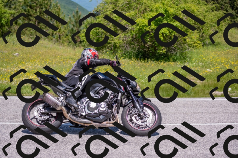 202506021147-DSC_8199_c4_