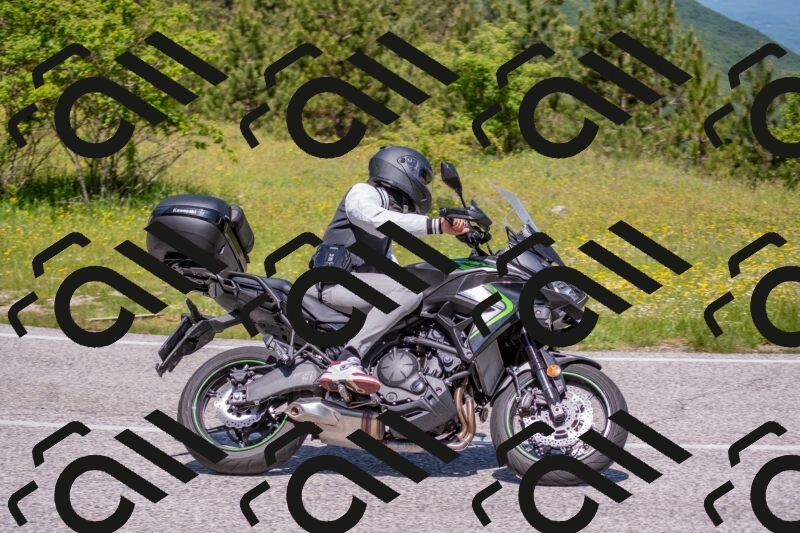 202506021147-DSC_8201_c4_