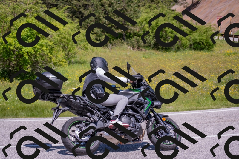 202506021147-DSC_8202_c4_