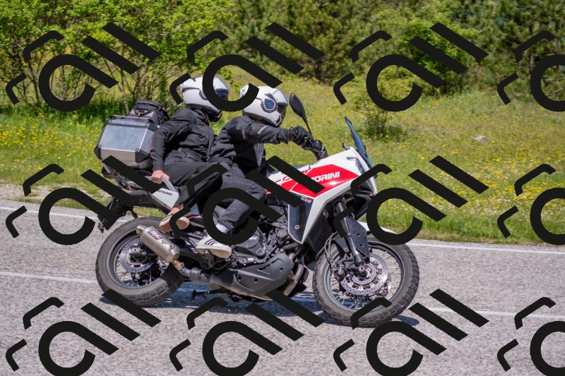 202506021147-DSC_8204_c4_