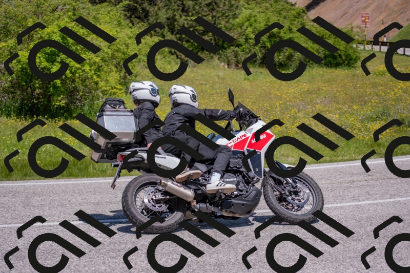 202506021147-DSC_8205_c4_