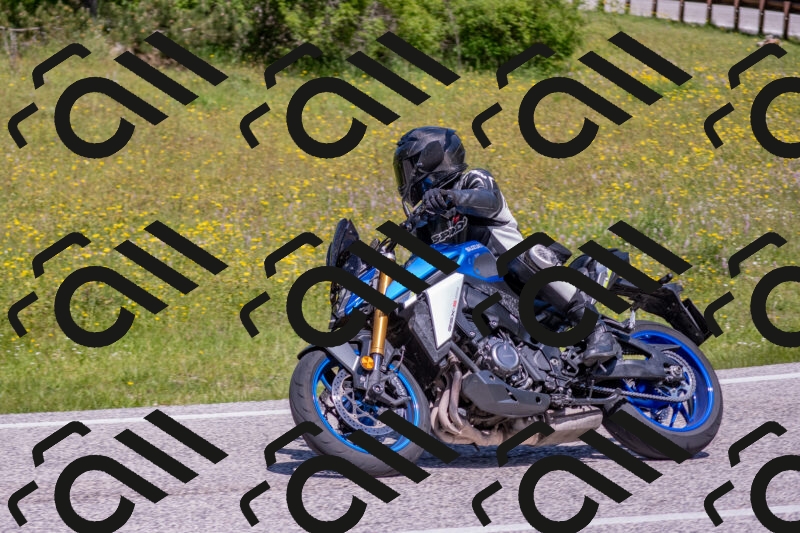 202506021147-DSC_8207_c4_