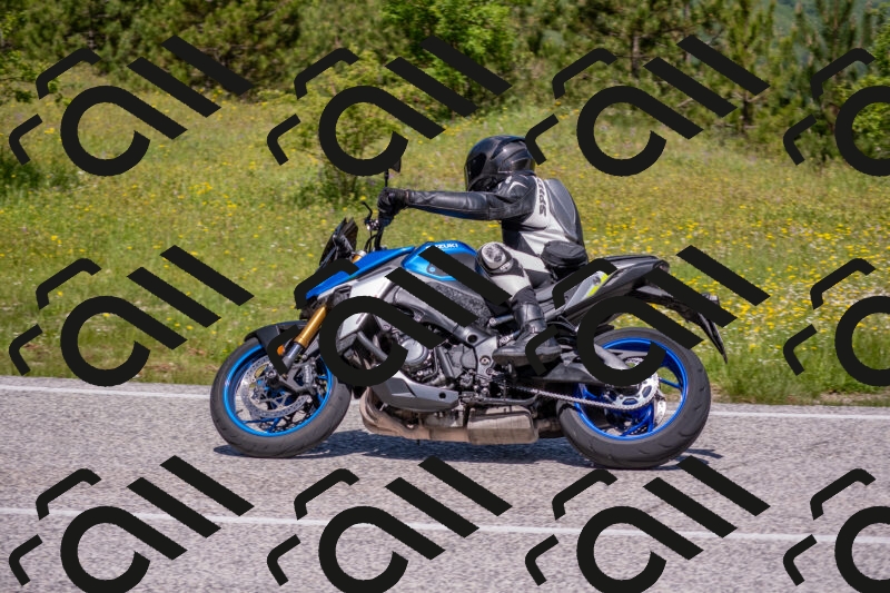 202506021147-DSC_8208_c4_