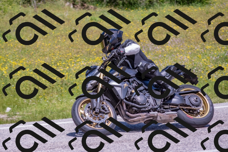 202506021147-DSC_8211_c4_